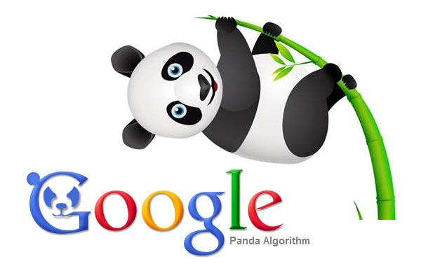Google panda